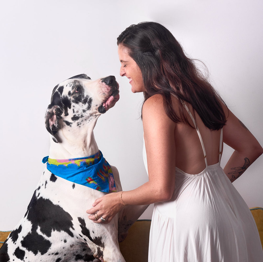 Woman in a white dress interacting with a black and white dog wearing a blue bandana on a white background